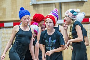 BGZ Wr. Neustadt: Theatergruppe in 'Lieder & Balladen', 21.06.2017