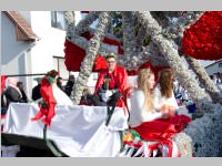 Zillingdorfer Faschingsumzug, 17.02.2015