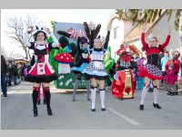 Zillingdorfer Faschingsumzug, 17.02.2015