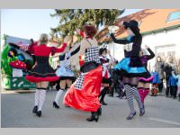 Zillingdorfer Faschingsumzug, 17.02.2015