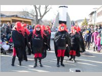 Zillingdorfer Faschingsumzug, 17.02.2015