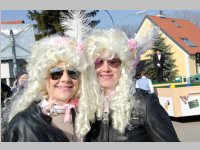 Zillingdorfer Faschingsumzug, 17.02.2015