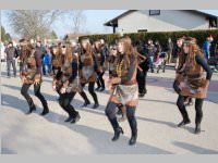 Zillingdorfer Faschingsumzug, 17.02.2015