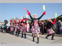 Zillingdorfer Faschingsumzug, 17.02.2015