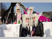 Zillingdorfer Faschingsumzug, 17.02.2015